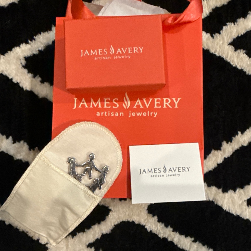 James Avery Silver Circle Of Friends Brooch Teachers Gift 85$